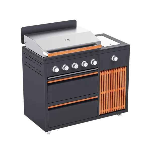 BBQ Grill with Side Burner Module BBQ Grill with Side Burner Module