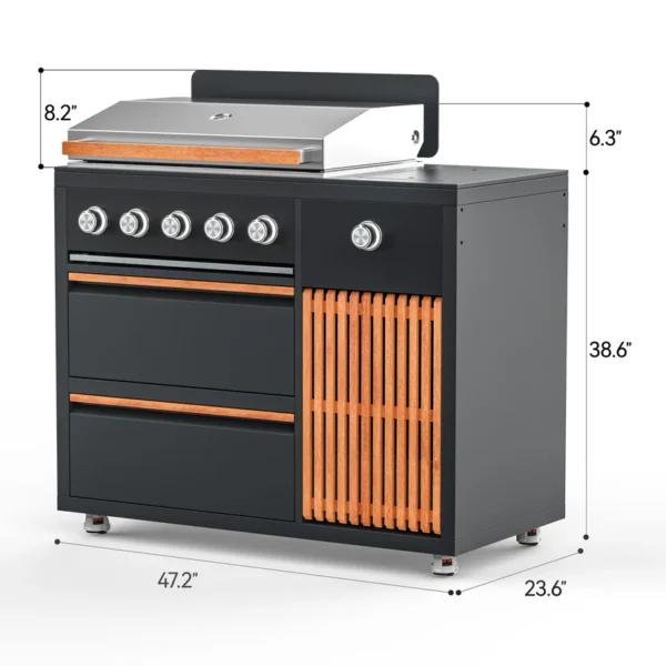 BBQ Grill with Side Burner Module BBQ Grill with Side Burner Module