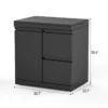 Single-Door Storage Cabinet with Two-Drawer Unit Module Single-Door Storage Cabinet with Two-Drawer Unit Module
